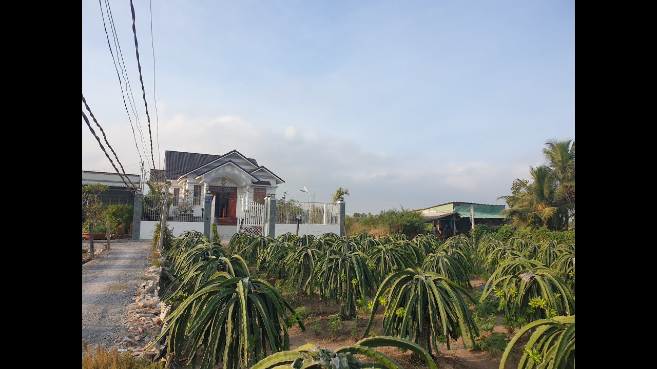 Nhà vườn mái thái siêu đẹp tại Tân An Long An. Kinh nghiệm xây nhà